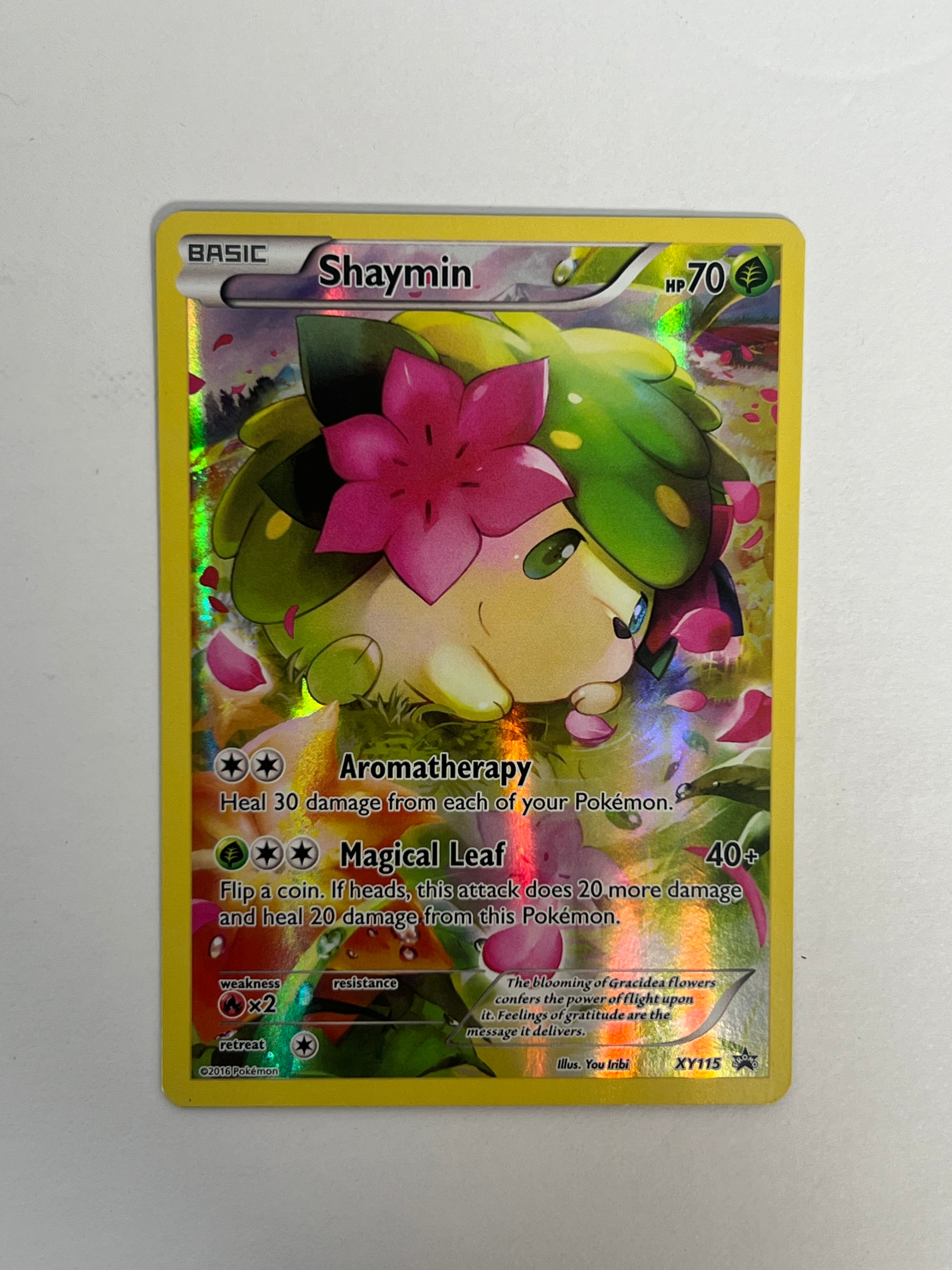 2016 Black Star Promo Shaymin XY115