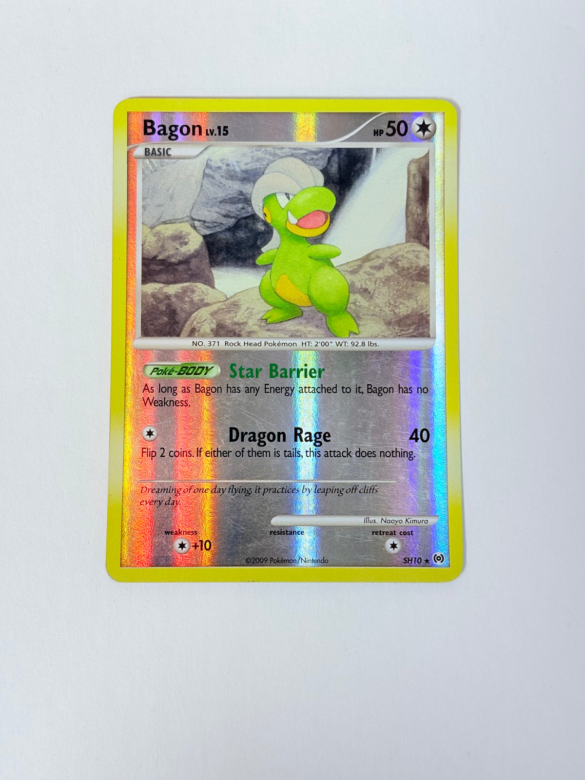 2009 Arceus Bagon Sh10