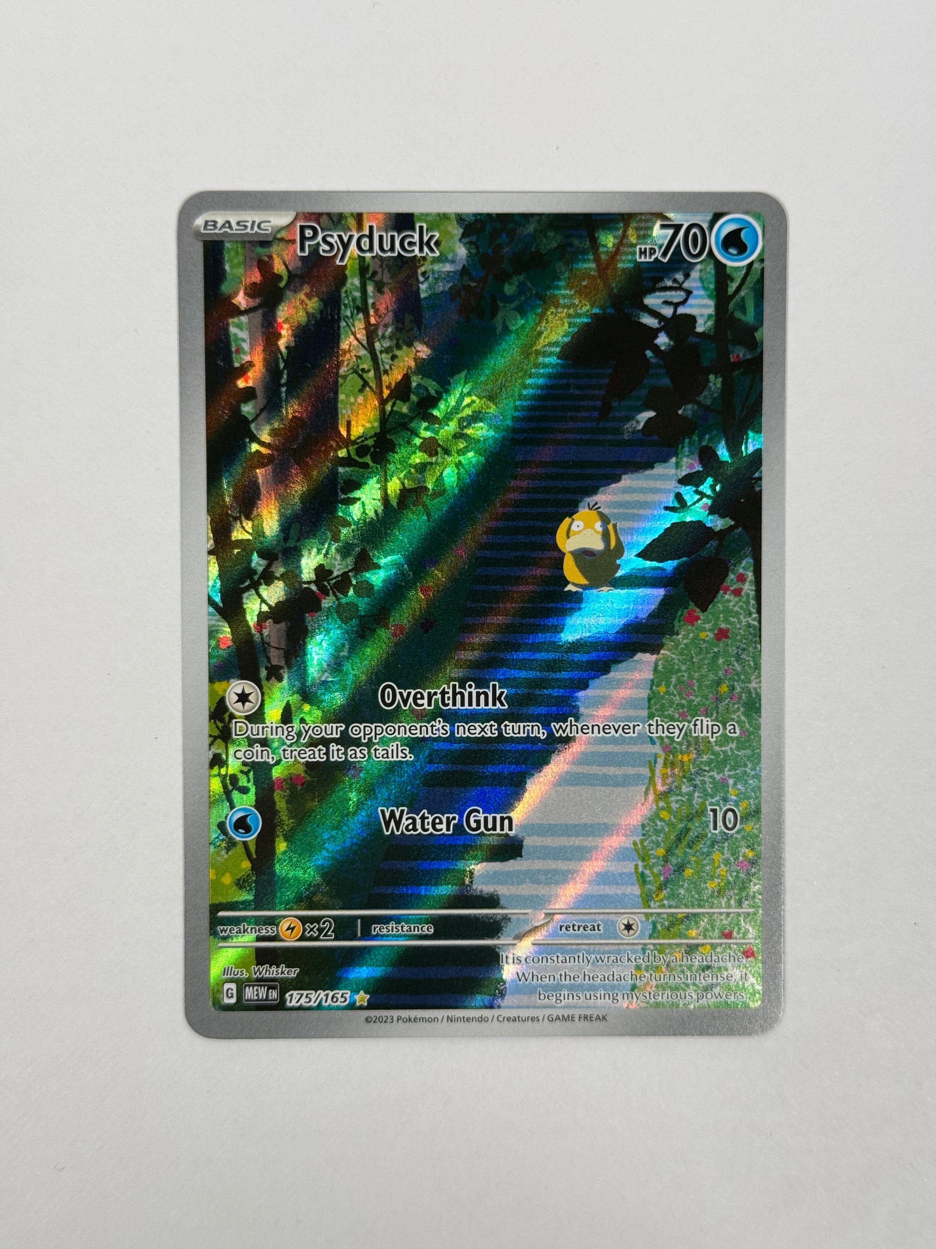 2023 151 Pysduck AR 175/165