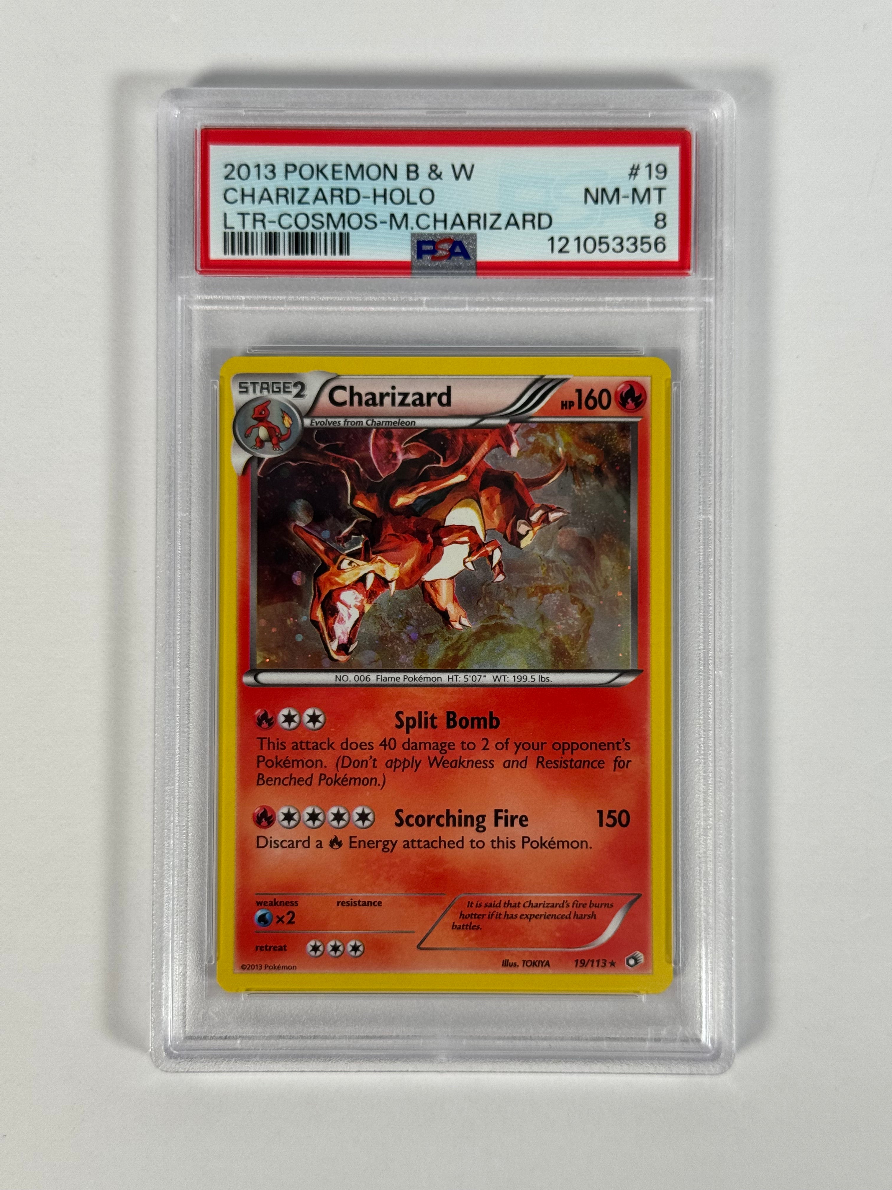 PSA 8 B&W Charizard Holo 19/113